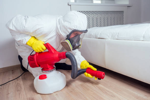Best Mosquito Control Services  in Shattuck, OK