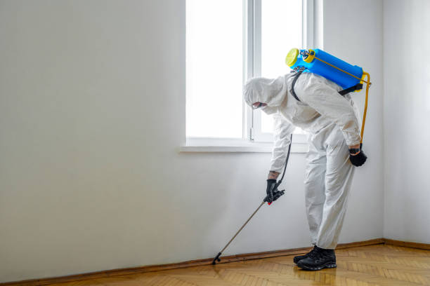 Best Residential Pest Control  in Shattuck, OK