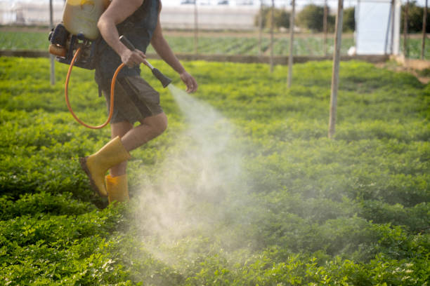 Best Mosquito Control Services  in Shattuck, OK