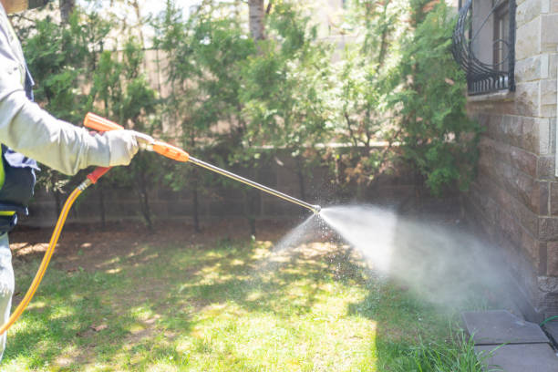 Best Bed Bug Extermination  in Shattuck, OK
