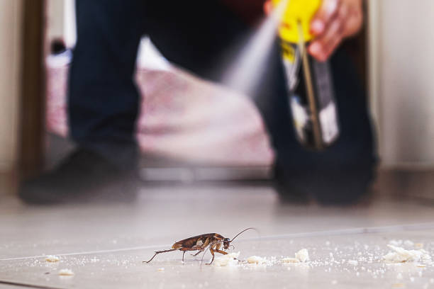 Shattuck, OK Pest Control Company