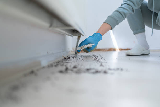 Pest Prevention Services in Shattuck, OK